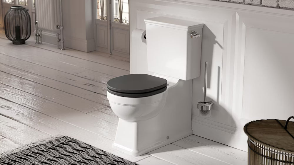 🚽 The Elysiar Form